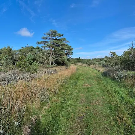 Ferienhaus 12 Person In Romo *