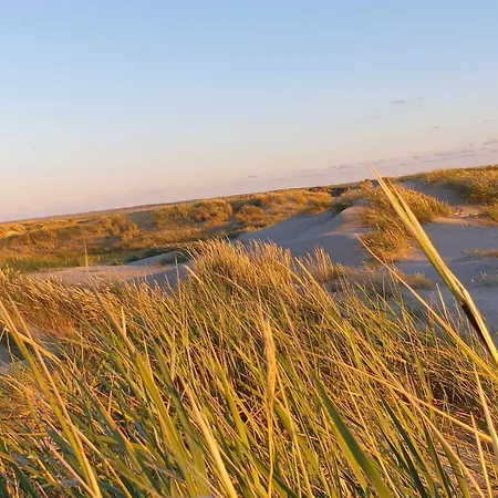 12 Person In Romo Ferienhaus Rømø Kirkeby