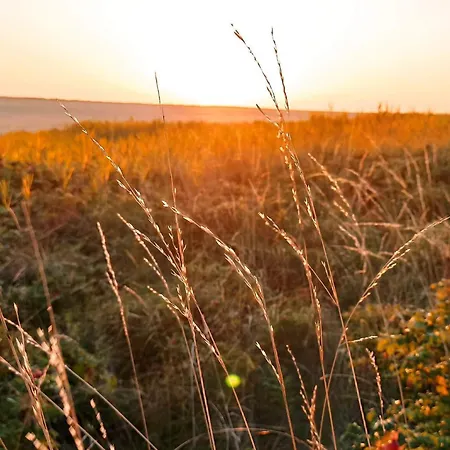 Ferienhaus 12 Person In Romo Rømø Kirkeby