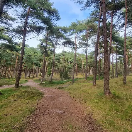 5 Star In Romo * Rømø Kirkeby